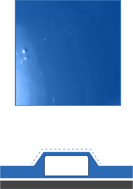 塗膜に埋まったケース