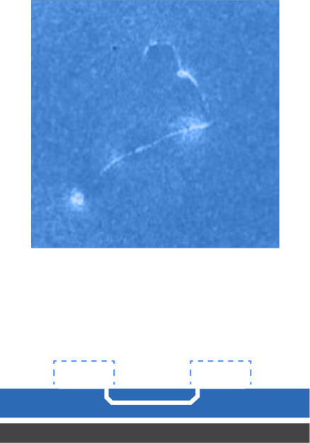塗膜に埋まっていない毛ゴミ